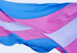 Trans-Pride-Flag